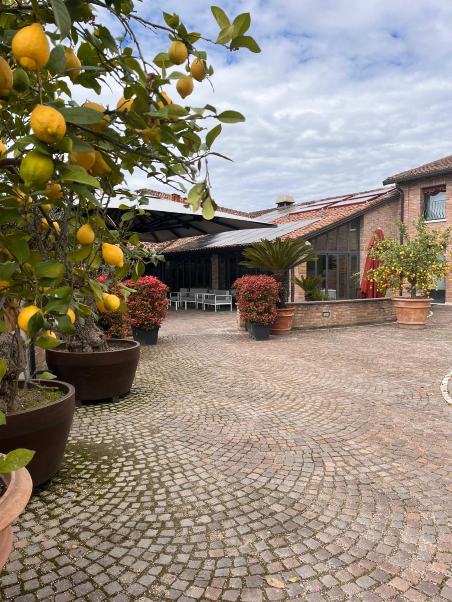 Agriturismo La Sapienza Monestirolo Ngoại thất bức ảnh